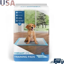 Large Dog Training Pads 22x22 50 Count Absorbent Potty Pads Odor Control New