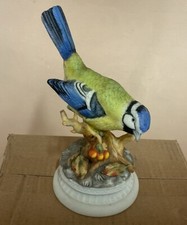 Maruri bird - Bluetit On Branch Hand painted porcelain