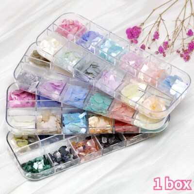 12 Gitterbox - irisierende Muschelscheiben unregelmäßig Nailart Muschelstück Malerei