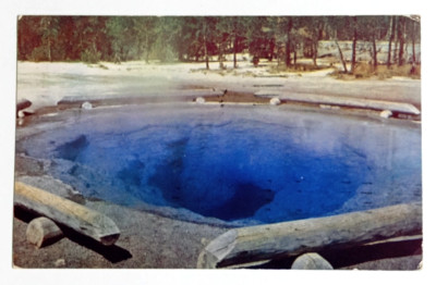 Yellowstone National Park Morning Glory Pool Geyser Basin WY Postcard c1940s