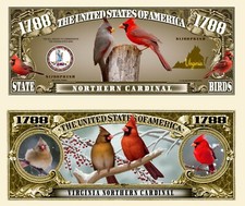 OUR VIRGINIA NORTHERN CARDINAL NOVELTY NOTES (25 EA)