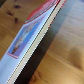 Roommate Ryoko Summer Vacation Official Strategy Guide Sega Saturn 1997 PN