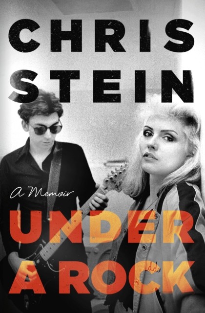 Under A Rock by Chris Stein (Hardback Book)