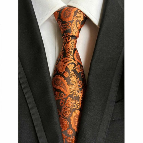 Men Paisley Floral Jacquard Neck Tie Party Wedding Formal Business Neckties - Picture 9 of 13