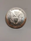 1991 American Silver Eagle 1 Troy oz Coin .999 Fine Silver Tarnish Authentic
