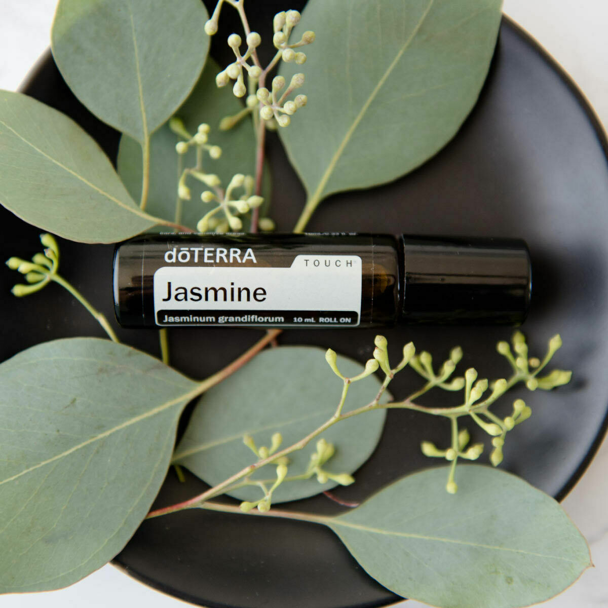 dōTERRA Jasmine エッセンシャルオイル 10ml doTERRA Jasmine 10ml + Free Forgive 10ml Therapeutic