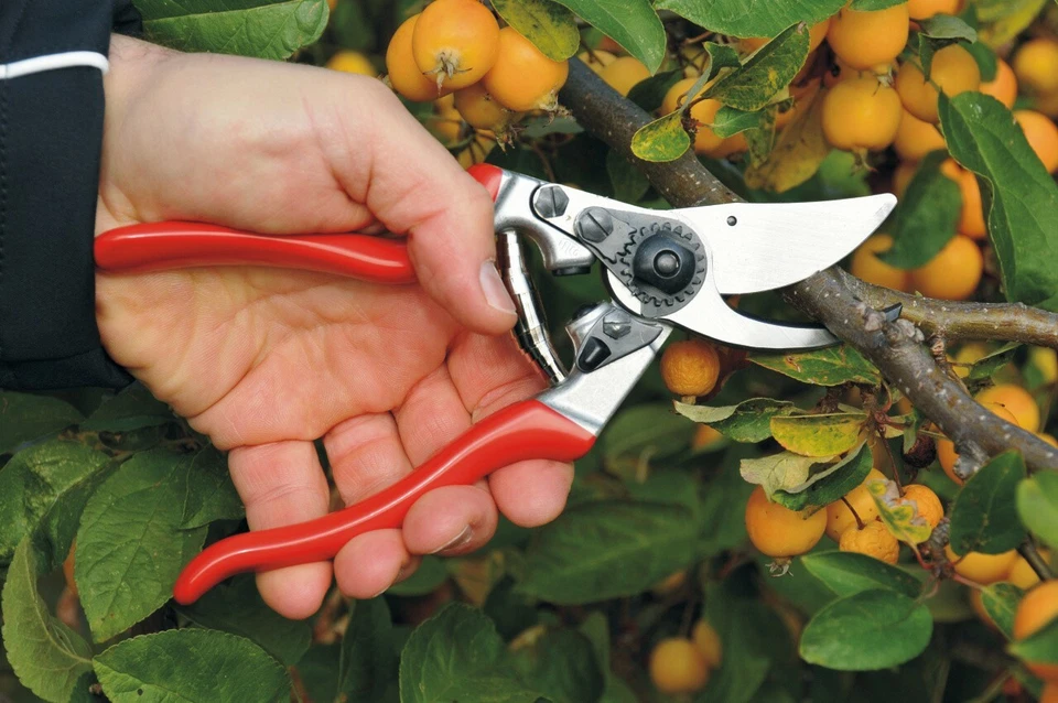 FELCO 9 ERGONOMIC SWISS MADE ONE-HAND LEFT HANDED PRUNING SHEAR / SECATEURS - Image 3 of 4