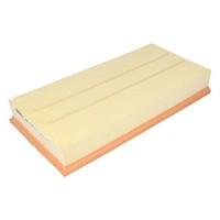 Luftfilter Mann-Filter C 39 219