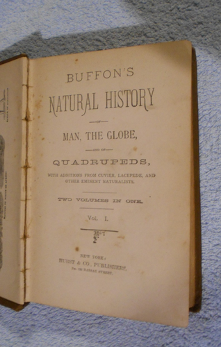 #G. c1860 BUFFON'S NATURAL HISTORY VOLUMES 1 & 2 IN SINGLE VOLUME - REPAIRED - Picture 5 of 8