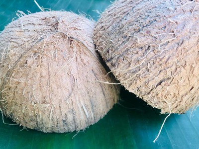 natural coconut shell Halves Natural 1/2 Case Pack