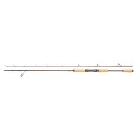 Abu Garcia Beast Pro 802 H 2,44M / 40-100G Allround Pike Spinnrute Hechtrute