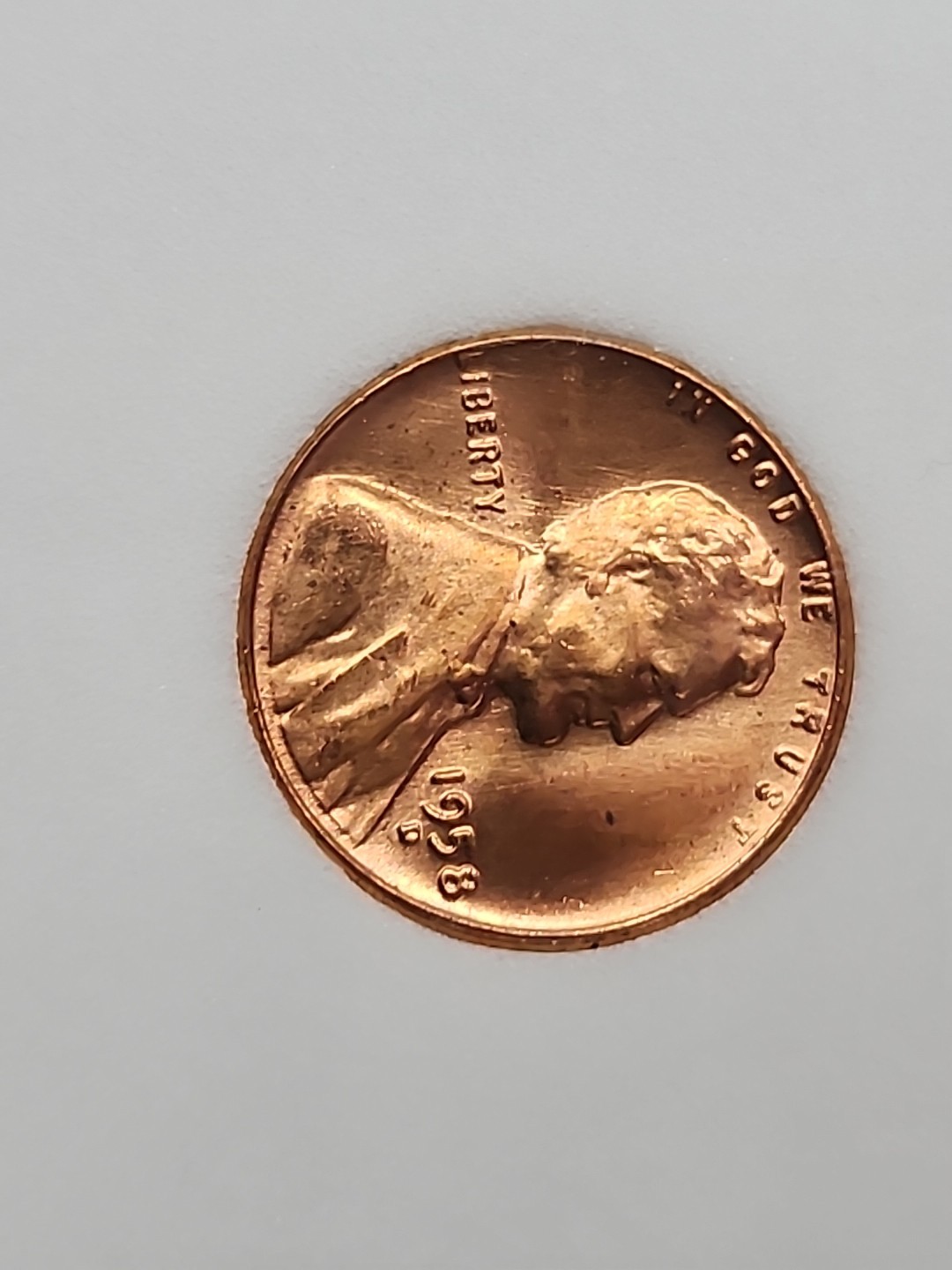 Picture 7 of 15