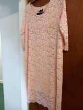 Bnwt Pink Round Neck Lace Dress James Lakeland Rrp £65 Size 14 CHARITY SALE