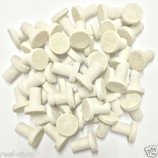 50 Cured Frag Plugs for Live Coral Propagation Coral Frag Plugs Live Coral Frags