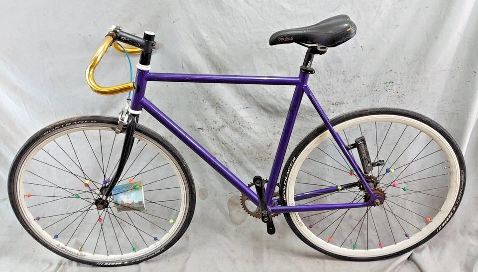 2010 1/8 inch FlipFlop Fixed Gear Bike 57cm Medium Fixie SS Steel Purple ShipsUS - Image 2 of 4