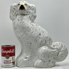 Foto 12 di 12