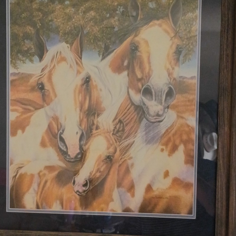 Susan von Borstel Unity 2 Horse Offset Lithograph 21 1/8x18 w/ Certificate  