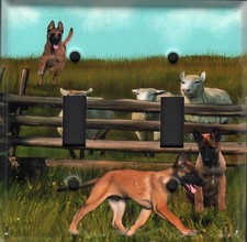 Belgian Malinois Double Toggle light switch plate, made in USA