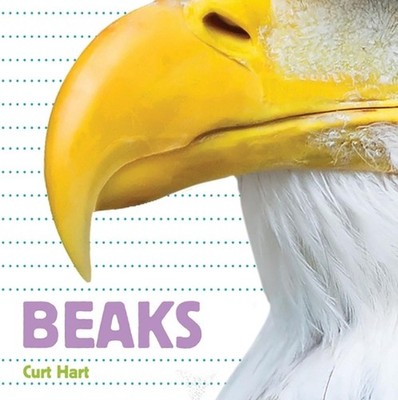 Beaks by Curt Hart (English) Board Book Book