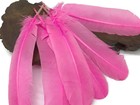Bild 8 von 9