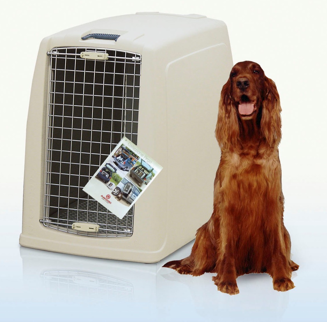 Marchioro Argo 2 Dog Carrier Car Crate eBay
