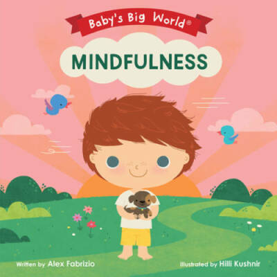 Mindfulness (Baby's Big World) - Board book By Fabrizio, Alex - GOOD