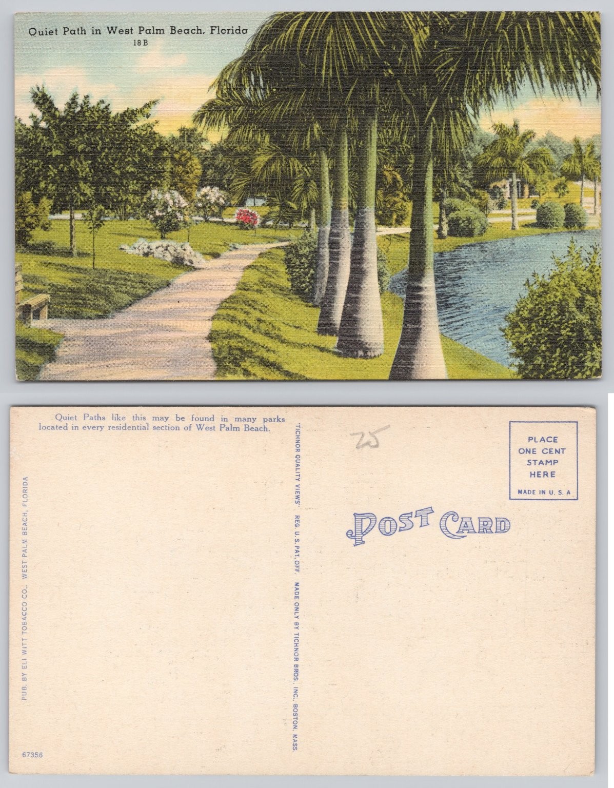 Quiet Path West Palm Beach Florida Linen Postcard Tichnor Bros. Palm ...