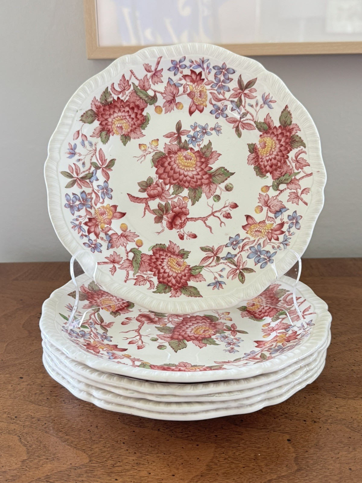 SIX Vintage Copeland Spode Red Aster Floral Salad Plates 7.5,” Made in England