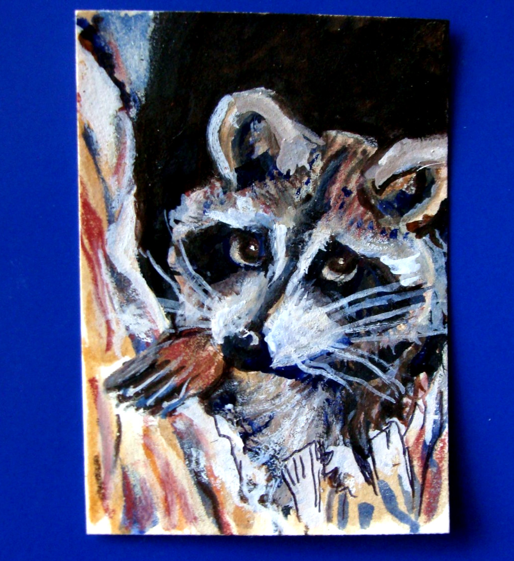 ACEO art  ATC Raccoon mini watercolor painting animal 2.3" x 3.5" Tarrantts OOAK