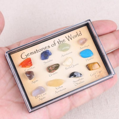 Rock & Mineral Collection Geology Science Kit Earth Science Toy