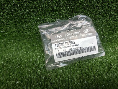Hyundai-kia Genuine OEM Slow Blow Fuse (80 Amps) 1898006565 for 