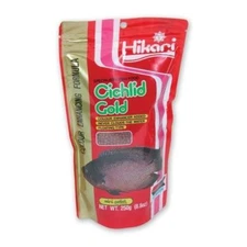 Hikari Cichlid Gold Mini