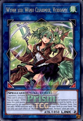 1. Auflage Wynn der Windbeschwörer, Grün Rare RIRA-DE046 Yugioh