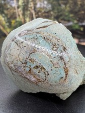 Turquoise‑Core Hampton Butte Limb Cast – Wood Rings, Polished Face & Matrix