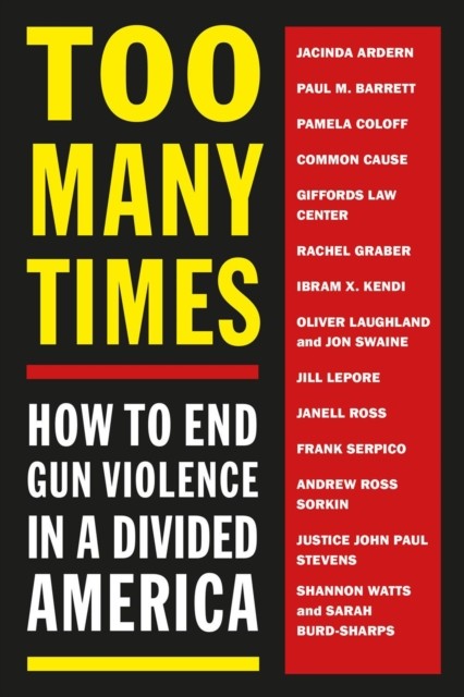 Too Many Times How to End Gun Violence in a Divided America (Paperback Book)