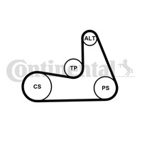 1X Continental Ctam 5PK1121 Extra K1 Keilrippenriemensatz FüR Volvo