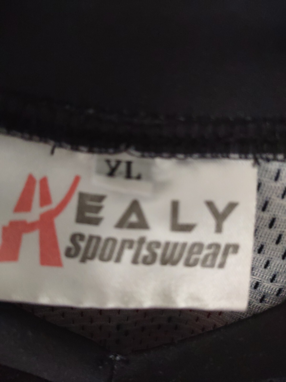 Vintage Healy Sportswear game worn jersey Youth large… Gem