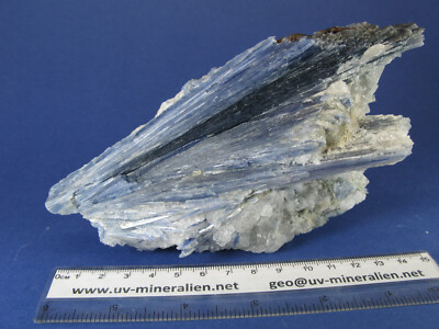Kyanit (Disthen) in Quarz, Doce-Tal, Minas Gerais, Brasilien 16 cm (KY11)