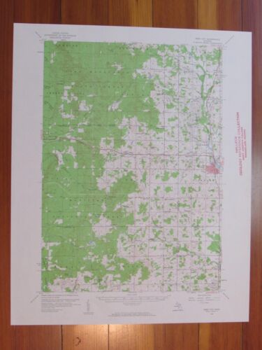 Mapa de ratón original vintage del USGS de Reed City Michigan 1960 original - Imagen 1 de 1