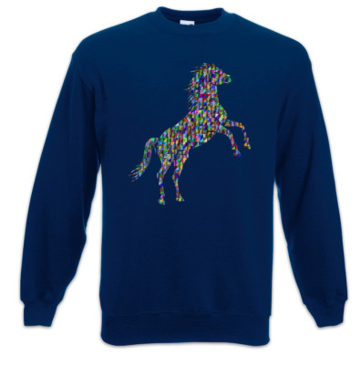 Colored Horse II Sweatshirt Pullover Toon Look Techno Rave Raver Dance Music