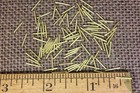 3/8” SOLID BRASS BRADS 100 NAILS 20 gauge Escutcheon pins tiny head USA made — photo 2