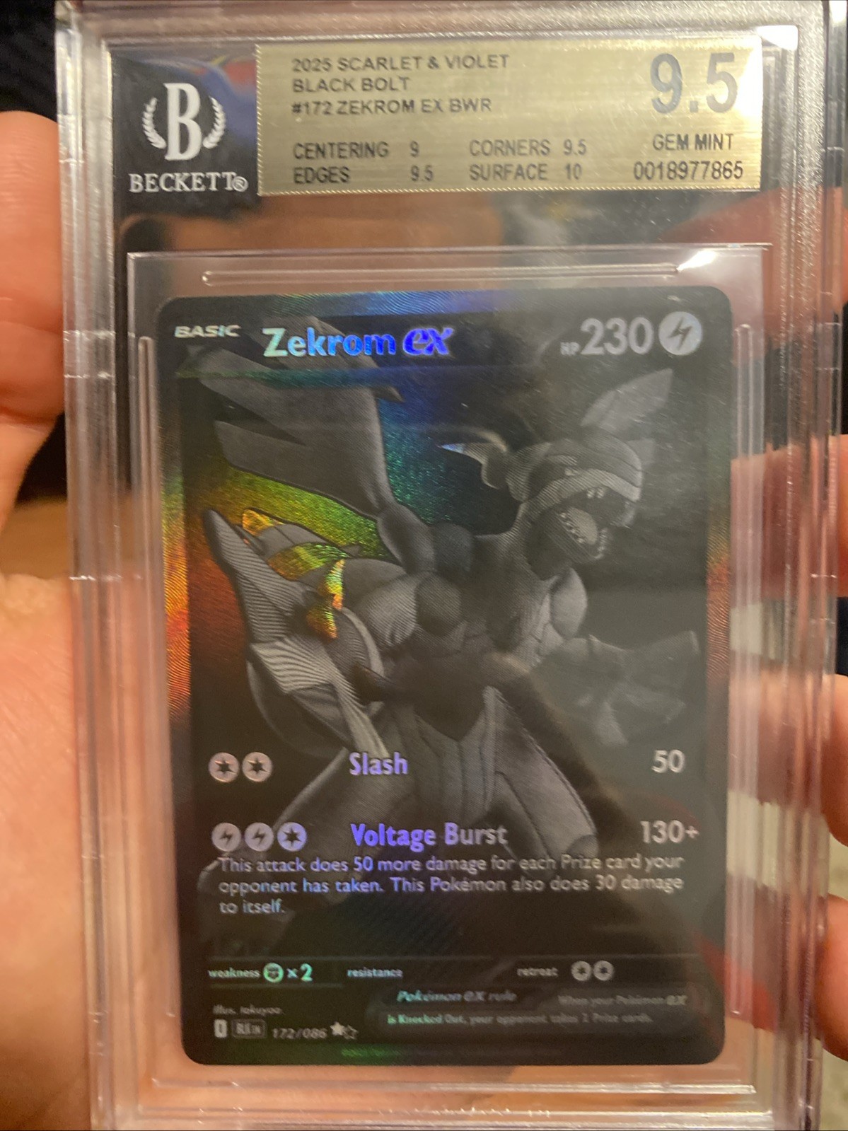Zekrom EX 172/086 Black Bolt 2025 Beckett 9.5 (BGS 9.5) Gem Mint Pokemon Card