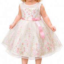 Jona Michelle 2T Flower Girl Toddler Dress Ivory Embroidered Tulle Party