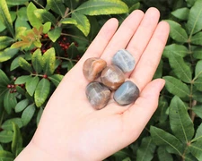 5 Black Moonstone Tumbled Stones (Crystal Healing Reiki Tumble)