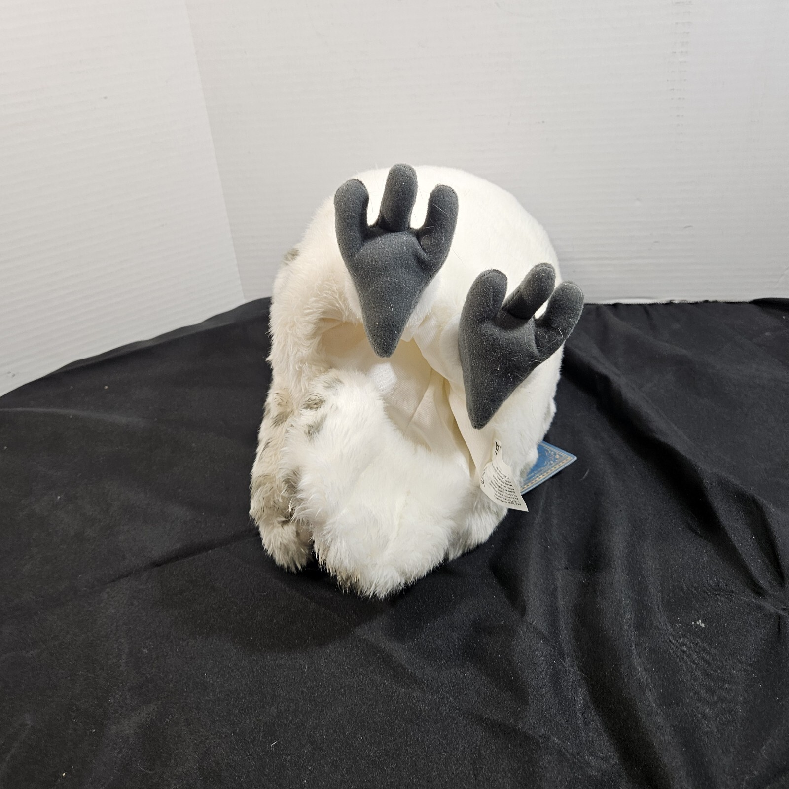 Picture 22 of 22