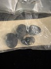 Nerite Shell Collection 6 Types All W/collection Data (S514) — photo 3