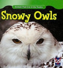 Snowy Owls Library Binding Roman Patrick