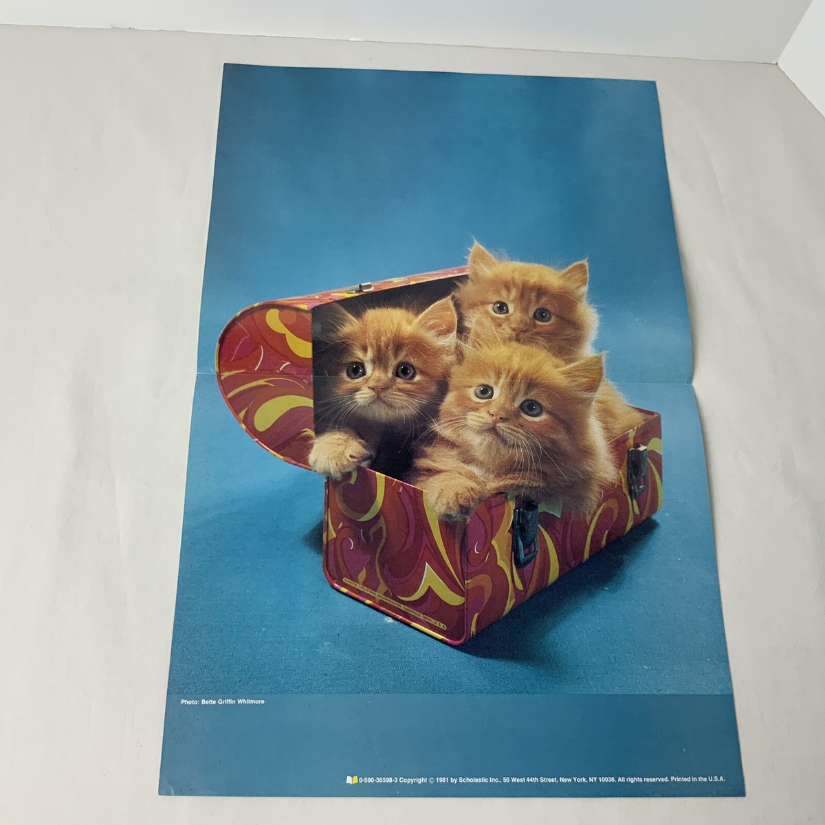 Vintage Scholastice Book Club 1981 Poster Kittens B. Griffen