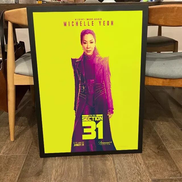 StarTrek Section 31 Poster, Home Decor, Wall Decor