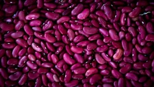 Kidney Bean Seeds Bulk 200+ Chili Bean Red Bean Seed Heirloom  FREE Shipping USA